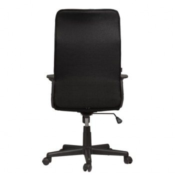 Кресло офисное BRABIX Delta EX-520 (черный) в Зелёном Бору - zelyonyj-bor.mebel54.com | фото
