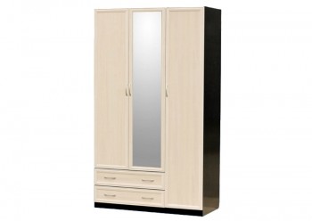 Шкаф для платья и белья 3-х дверный с профилем МДФ с 1 малым зеркалом Венге/Дуб выбеленный в Зелёном Бору - zelyonyj-bor.mebel54.com | фото