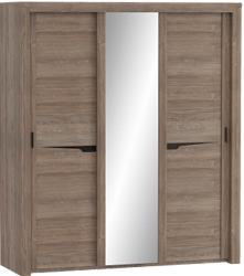 Шкаф трехдверный Соренто с раздвижными дверями Дуб стирлинг/Кофе структурный матовый в Зелёном Бору - zelyonyj-bor.mebel54.com | фото